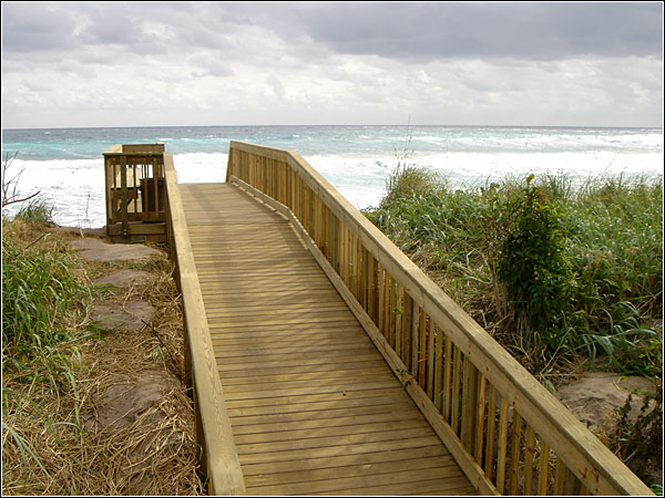 Custom special by Morrison Contractors